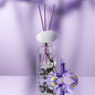 Iris Collection